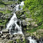 公寓 Tannenhof Fischbach - 2 