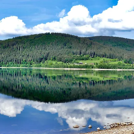 公寓 Tannenhof Fischbach - 2 