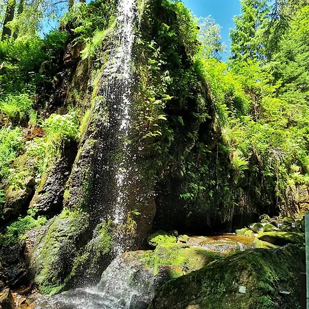 Tannenhof Fischbach - 2 